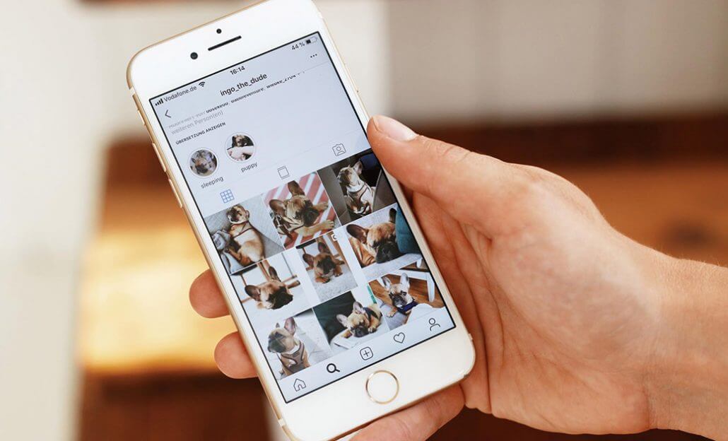 Header-tierische-Instagram-Accounts-1040x630-1030x624 Tierische Instagram-Accounts