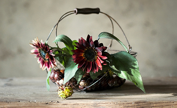 6 vinkkiä tyylikkääseen asetelmakuvaan