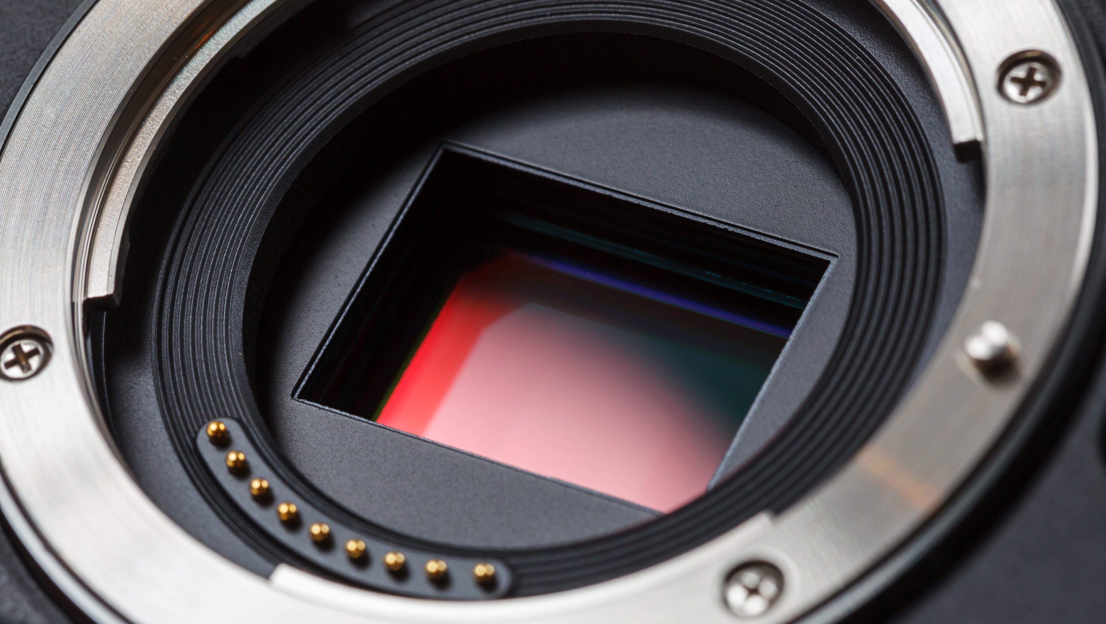 aps-c-sensoren-dx-sensoren Fotografie-Wissen: APS-C und DX-Sensoren