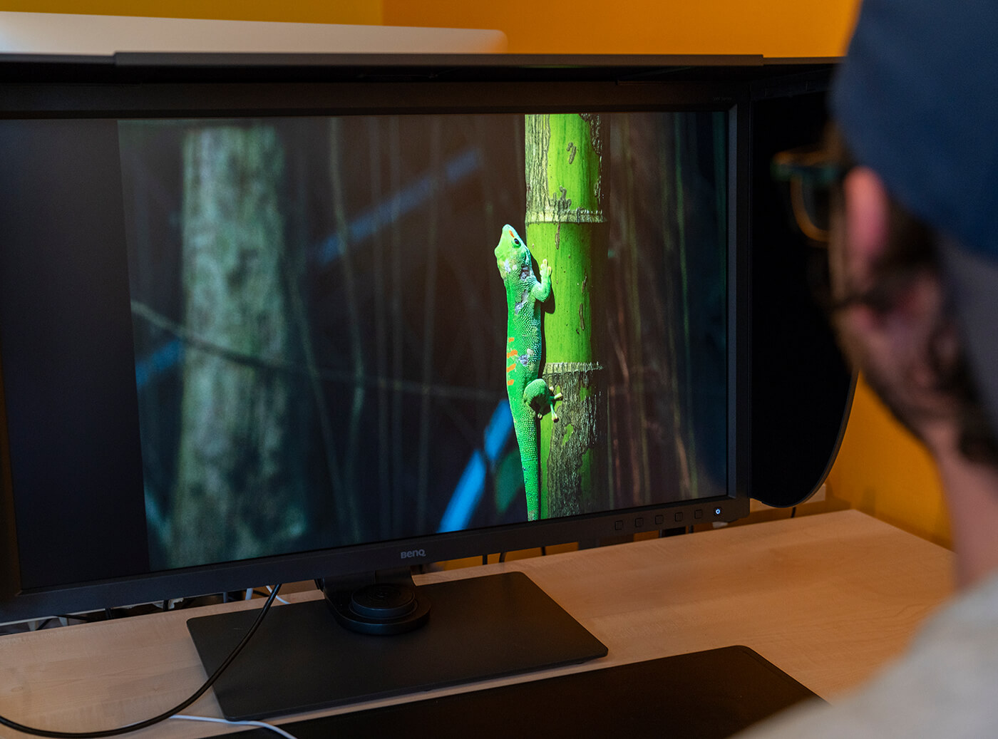 BenQ-SW320_1 So erzielst du für deine Wanddekoration das perfekte Ergebnis