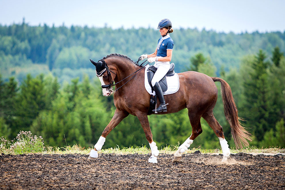 Näin onnistut eläinkuvissa