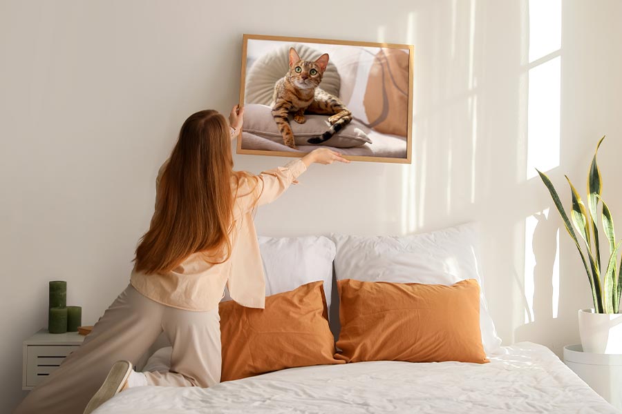 Lemmikkikuvat ovat ilo silmälle kodin sisustuksessa