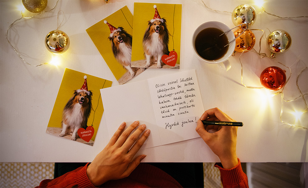 10 vinkkiä lemmikkien joulukorttikuviin