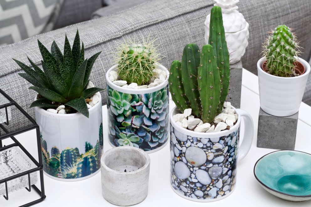 fototasse-diy-kaktus-topf Stylische DIY-Wohnidee