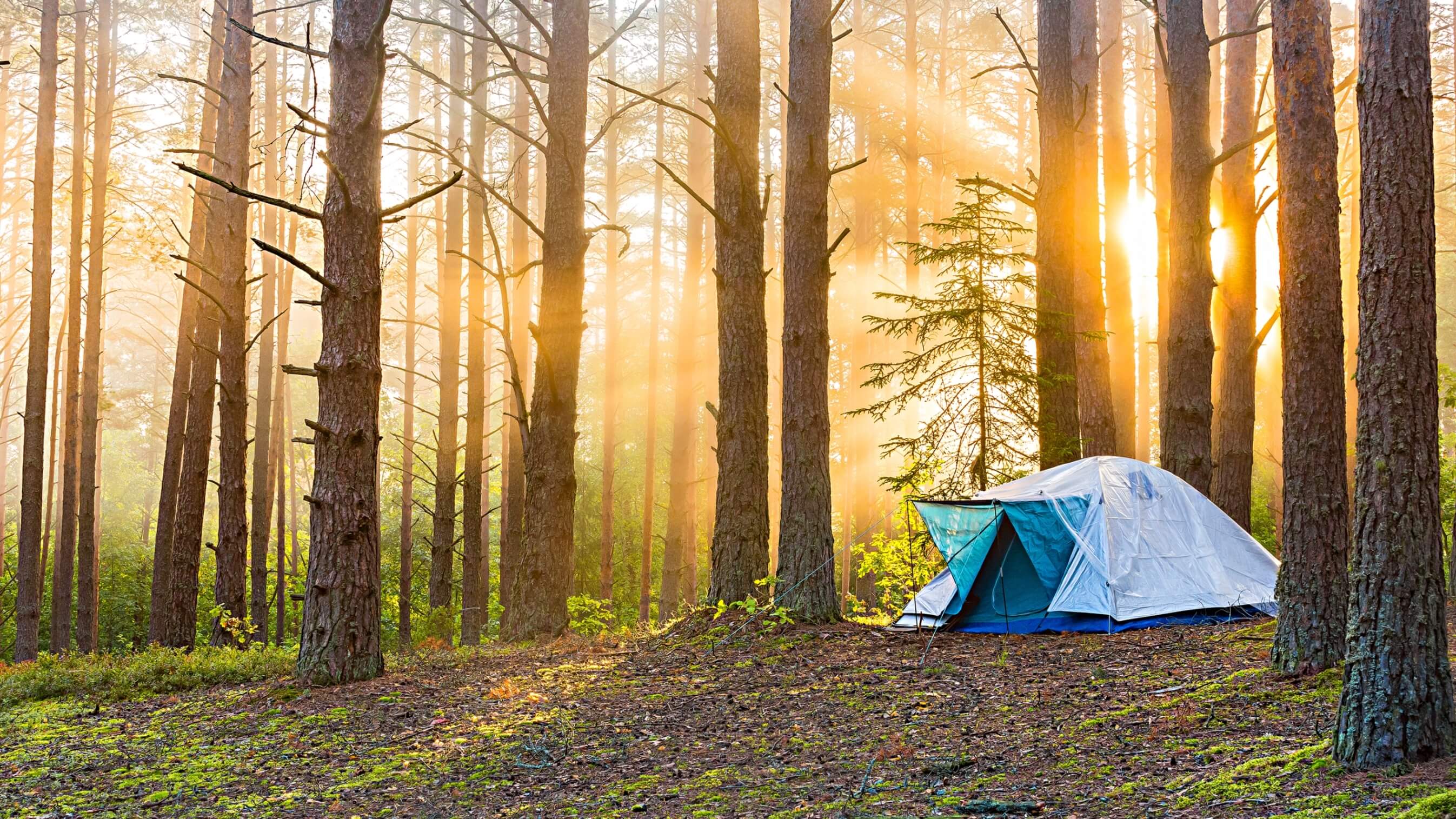Campsites%20in%20Switzerland%20-%20Cover%2016-9 Das sind die schönsten Campingplätze in der Schweiz!