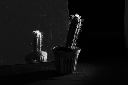 teaser Bildgestaltung – Licht und Schatten